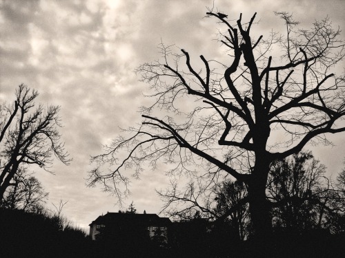 crimsonkismet: “Underneath the grass would grow,aiming at the sky”  . :