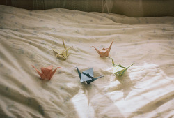 joanne-montgomery:  origami cranes by labunakti