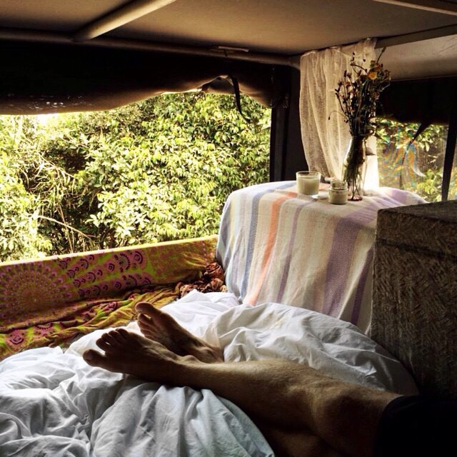 wild-souls:  x 