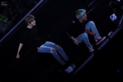 Vtae I Do not edit