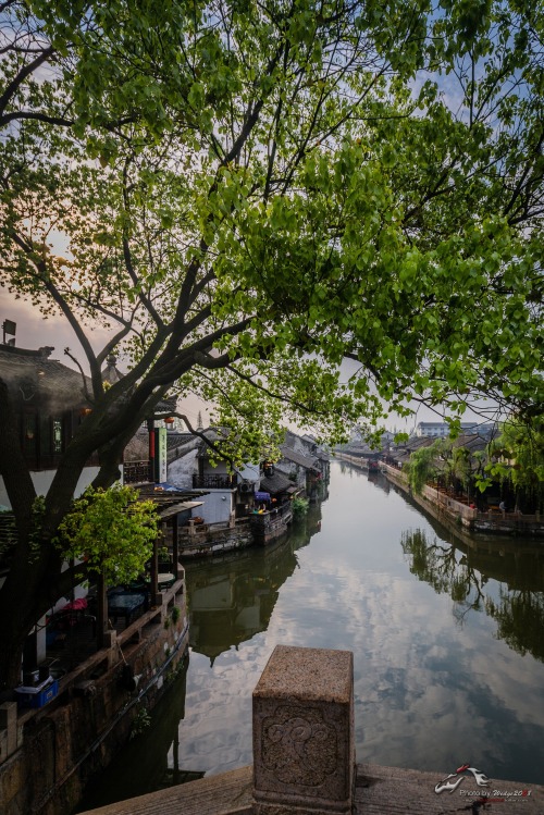 fuckyeahchinesegarden: Water Town, China. 杰Photo