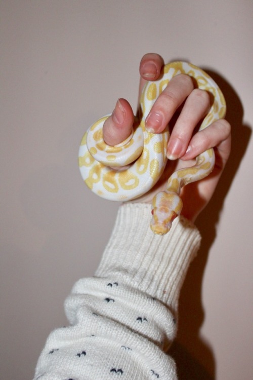 at least i always have my slither boy