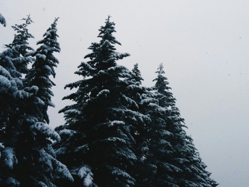 mleting:  mt hood