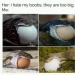 peony911:no-country-for-old-meme:🤣🤣