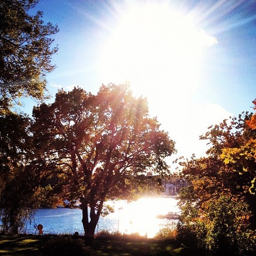 I miss the summer… #summer #sun #sweden #tree #love #warm #weather #sea #water