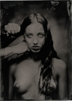 florafaunauniverse:  James Wigger (NYC)