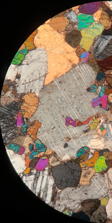 optical-mineralogy:Gabbronorite in thin sectionPlagioclase Feldspar (anorthite)ClinopyroxeneOrthopyr