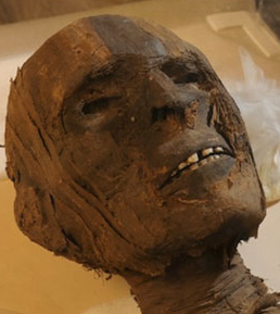 sixpenceee:  Until relatively recently, Egyptian mummies, believe it or not, were