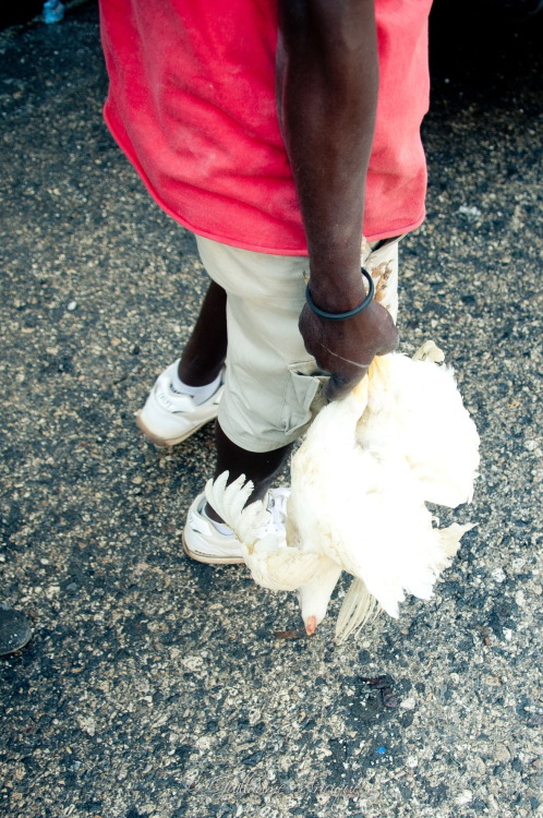 stevymahy: miss being over there .. AYITI !!! pic : happymanphotography