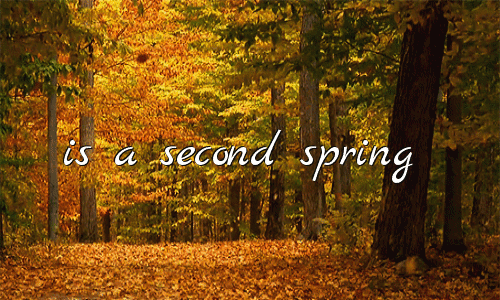 Autumn Is A Second Spring When Every Leaf Is A Flower - Albert Camus