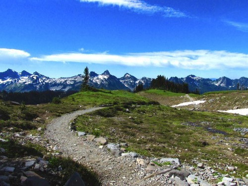 justemoinue2:Tatoosh Mountain Range, Washington(Mt. St. Helens is actually in this photo)