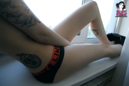 whitelatexmonkey:  Jamity Suicide