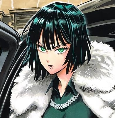 fubuki y tatsumaki  One punch man anime, One punch man manga, One