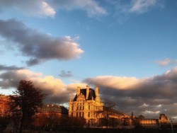 at Jardins, jardin aux Tuileries https://www.instagram.com/p/Busj-vzgA_rLQt-3ynDxS1abQ-7RIt25d5mmnU0/?utm_source=ig_tumblr_share&amp;igshid=kgfcxs6804v3