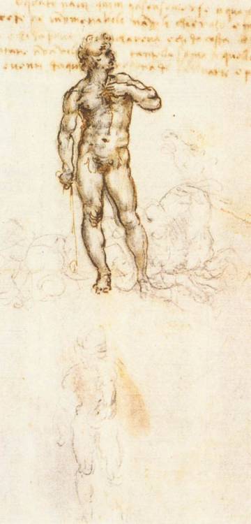 artist-davinci:Study of David by Michelangelo, 1505, Leonardo Da VinciMedium: pencil,ink,paper