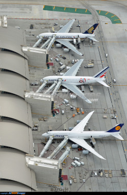 armchair-aviator:  Lufthansa Boeing 747-8i, Air France and Singapore Airlines Airbus A380-800 at LAX