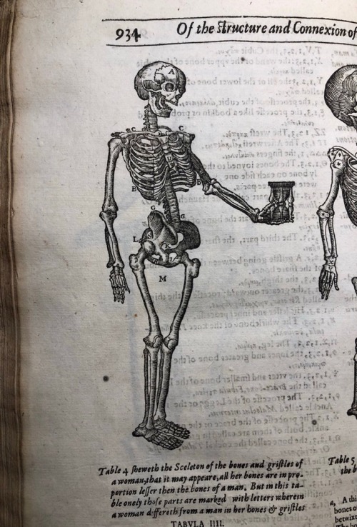 book-historia:Well, would you look at that? It’sB O N E T I M E(From Helkiah Crooke’s 1616 “Mikrok