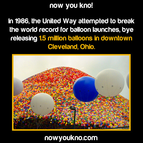 nowyoukno:  Now You Know why you should never release 1.5 million balloons at once.