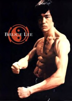 &ldquo;Adapt what is useful, reject what is useless, and add what is specifically your own.&rdquo; - Bruce Lee.