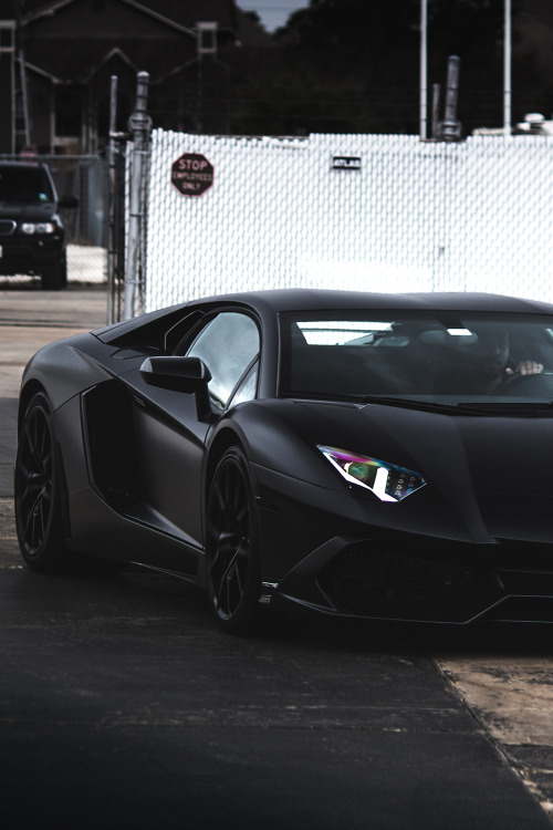 motivationsforlife:Black Bull by Cameron Jones