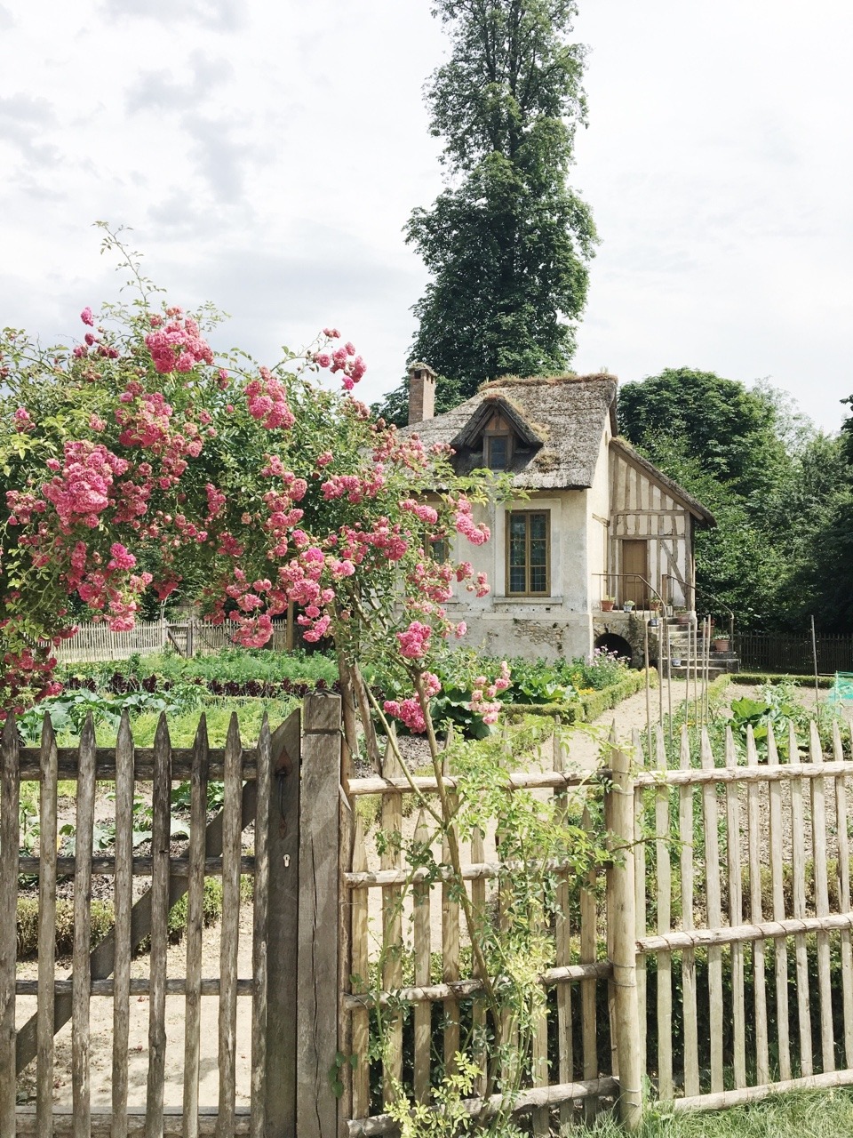 emma-anne-swan:Petit Trianon, Versailles