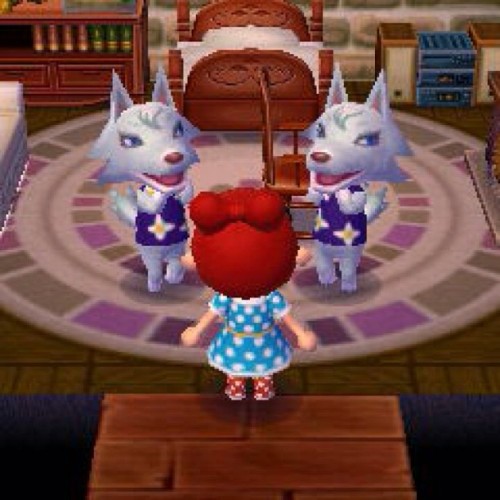 sacredhearte: mikimeron: 偽物はどっちだ♪ #とび森 #とびだせどうぶつの森 #animalcrossing #animalcrossing3ds WAT.