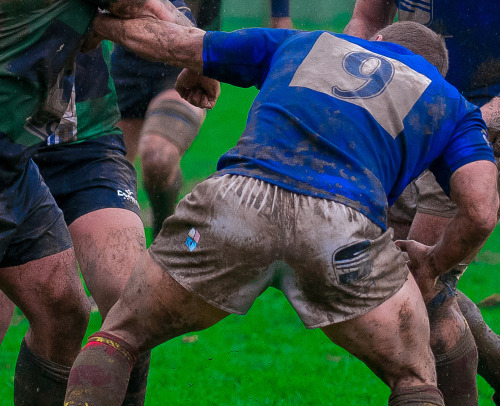 roscoe66: Muddy Rugby Players