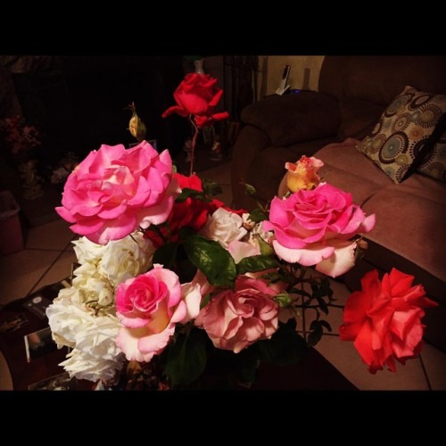 XXX #roses #rosas  (at Hacienda Pèrez-Garcia) photo