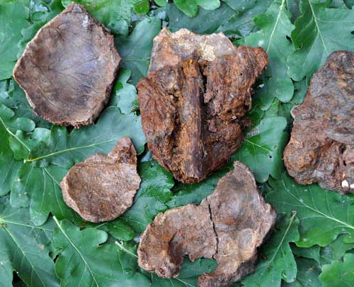 sixpenceee:  Skulls Impaled on SticksIn southeast Sweden, archaeologists found a rather unique cemetery. It consists of skulls impaled on sticks, and it’s at the bottom of a lake. The shallow lake has long since dried up, which made the discovery possible