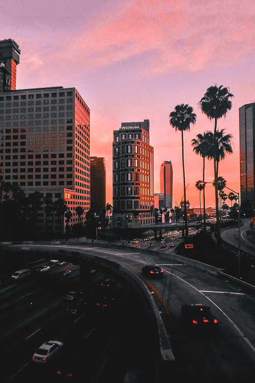 motivationsforlife:  Los Angeles, CA by Scott Reyes // Edited by MFL