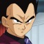 cc-vegeta
