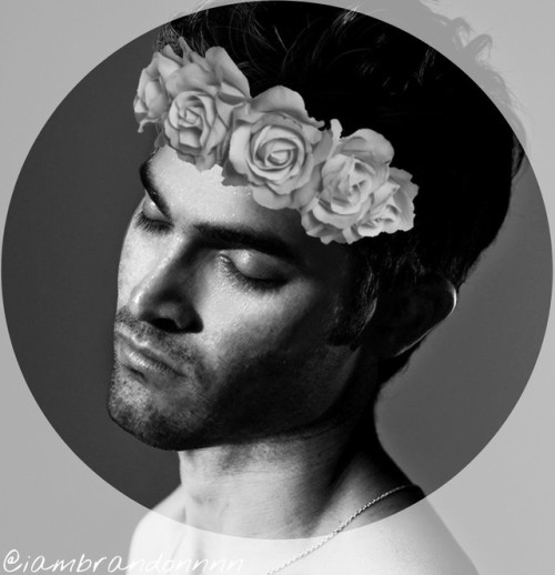 Tyler Hoechlin Flower Crown Edits