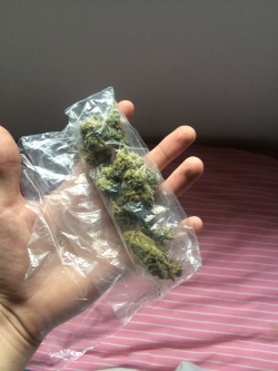 puta-mierda-de-vida:  andyhippie:  Bag o weed (:  -