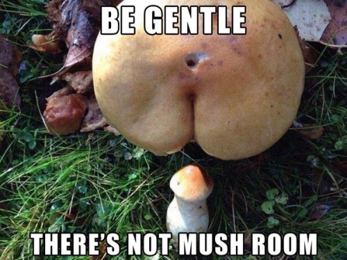 weallheartonedirection:  I laughed way more than I should have.