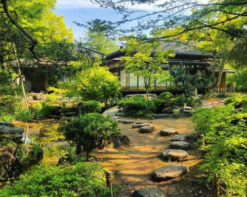 ＼おにわさん更新情報／ ‪[ 新潟県長岡市 ] 越路もみじ園（巴ヶ丘山荘） Koshiji Momijien Garden, Nagaoka, Niigata の写真・記事を更新しました。 ーー明治時