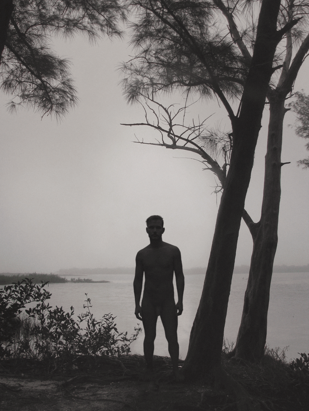 jamesjeffers:  iamamiwhoami  shadowshow  
