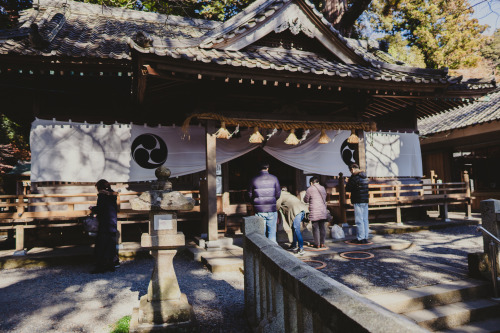 『御神木』sony a6400 + SIGMA 16mm F1.4 DC DN | Contemporary2022.01.05location : 静岡県 Shiuoka, Japan神社、事任八幡