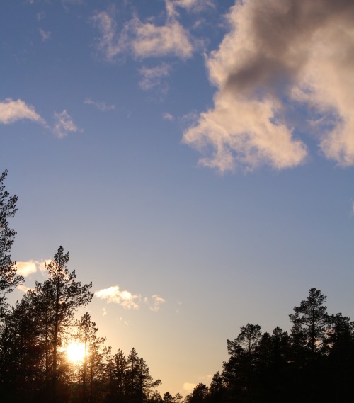 fluffy skies over Sälen, Sweden