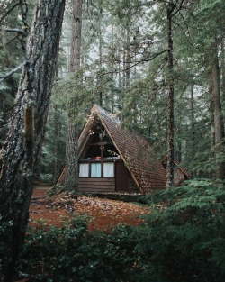 Wild-Cabins:  Bill Kim