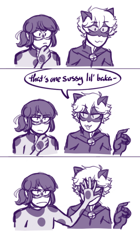 Sus about chat/cat noir sussy baka jk