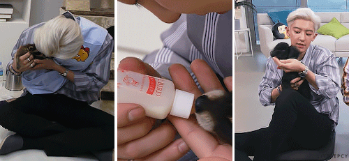 littlepcy: Chanyeol loves animals and animals love him  // MBC My Little Television live 190713