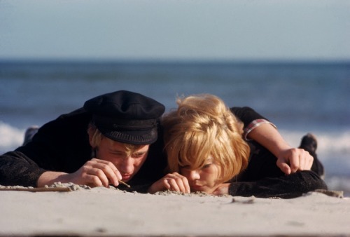 Gérard Géry, Johnny Hallyday et Sylvie Vartan lézardent sur les plages des Saintes-Maries-de-la-Mer,