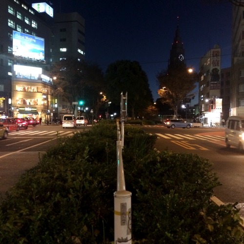 一点透視＠新宿御苑前One point perspective @ Shinjuku Gyoen, Japan