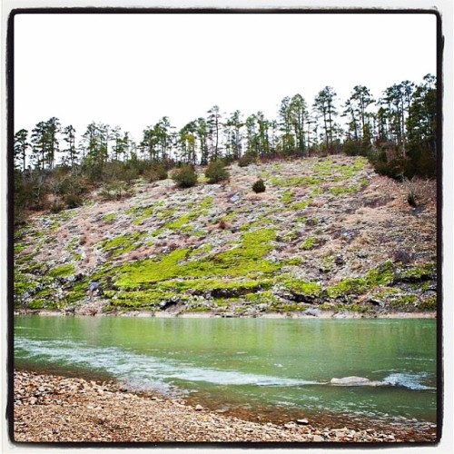 Winter moss growing on Goats Rock #riversedgecottages #travelok (at Rivers Edge Cottages)