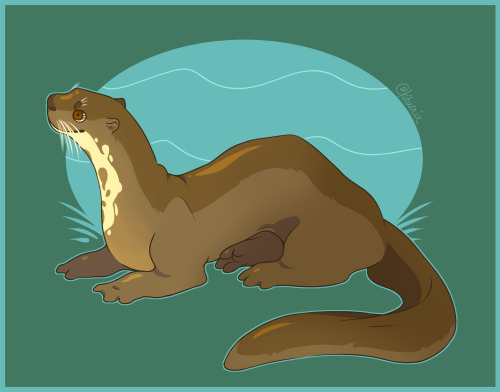 giant otters are the best otters. they’re floppy and silly.