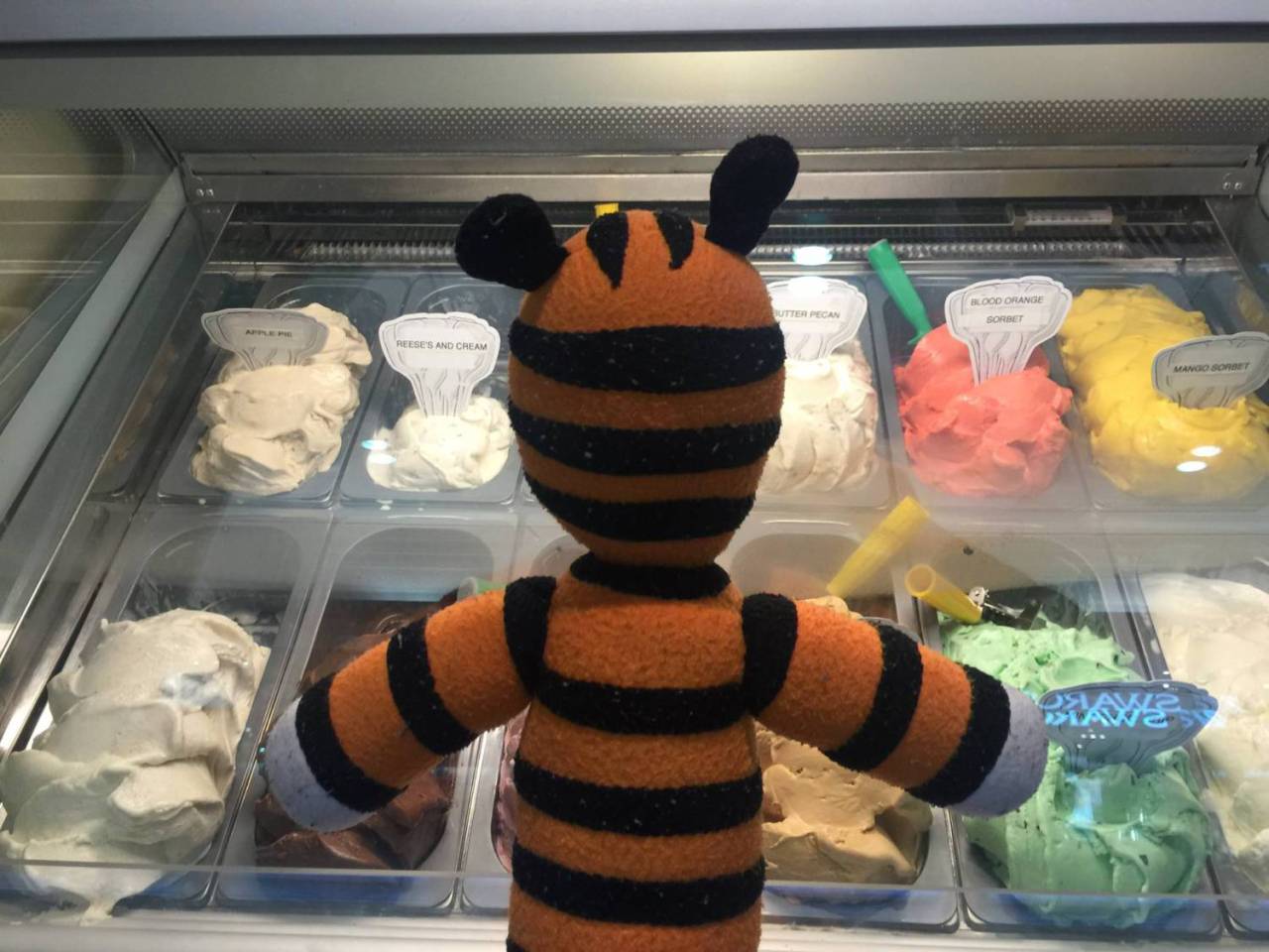 archiemcphee:  Today the Department of Awesomely Good Deeds salutes the staff at