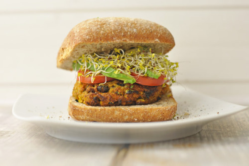 alloftheveganfood:  Vegan Sweet Potato Burger Round Up Easy Sweet Potato Veggie Burgers with Avocado Maple Pecan Sweet Potato Burgers Spicy Black Bean, Sweet Potato & Quinoa Burger Vegan Sweet Potato Tofu Burgers (GF) Sweet Potato Quinoa Burgers (GF)