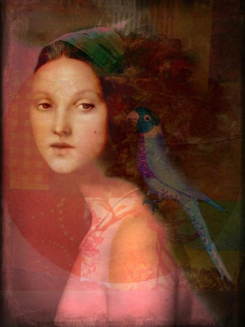 lohrien:  Illustrations by Catrin Welz-Stein