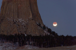 americasgreatoutdoors:  A lunar eclipse at Devils Tower December 10, 2011.Photo: David Porter (www.sharetheexperience.org) 