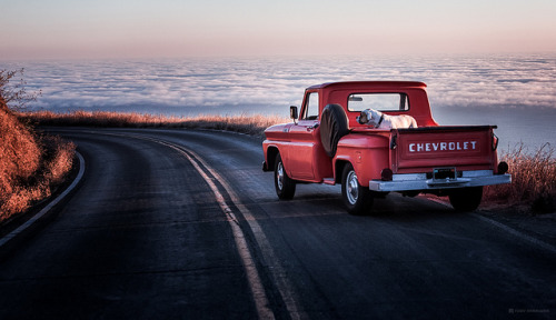 chillypepperhothothot:A Classic California View by tobyharriman on Flickr.